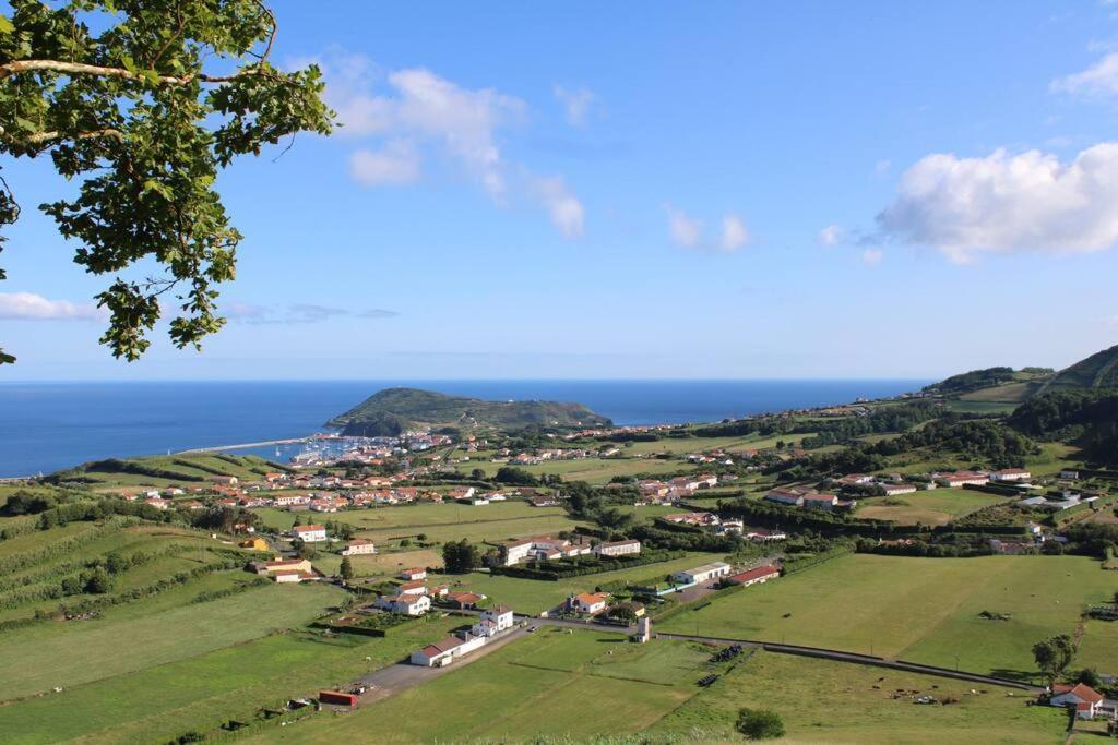 Casa Palmeiras - Res. Of Elizabete And Fatima Horta (Azores)
