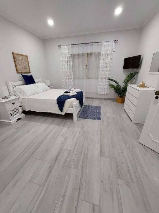 Holiday home Casa Palmeiras - Res. Of Elizabete And Fatima Horta (Azores)