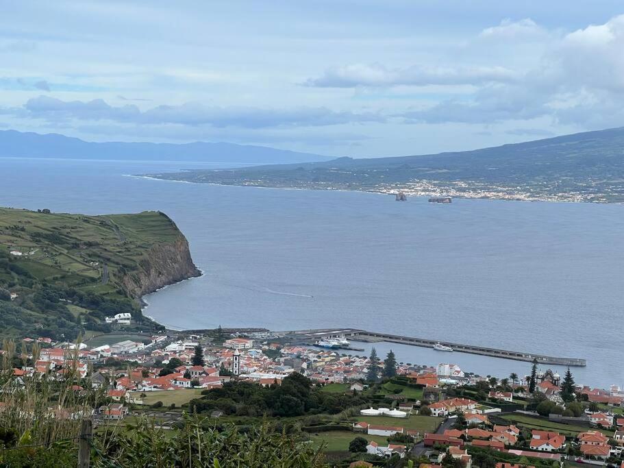 Casa Palmeiras - Res. Of Elizabete And Fatima Horta (Azores)